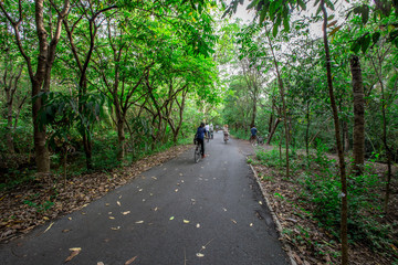 Obraz premium The background of the bicycle symbol made of wood, and people come to exercise quickly, blurred, to relax during the holidays.