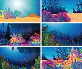 Set of underwater scene
