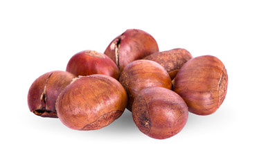 chestnut isolated on white background