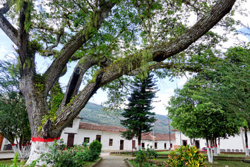 Park with Trees and Colonial Houses in Valle de San Jose, Colombia.