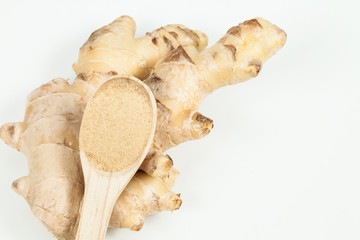 Fresh roots and ginger powder - Zingiber officinale; photo on neutral background
