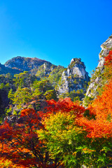 紅葉シーズンの山梨、甲府市にある昇仙峡の景観