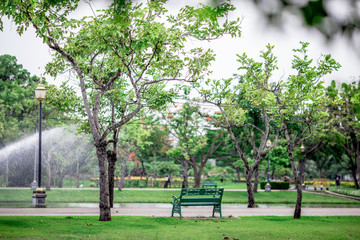 The blurred background of the chair, the seat in the park, among the green trees, has a pleasant shade during the break