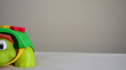 turtle educational toy pan right copy space