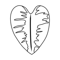 ecology leaf plant nature icon