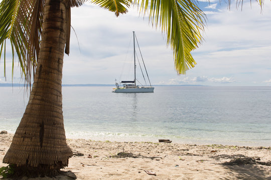Catamaran sail boat infront a white beach with coconut palm tree anchoring, in a luxury lifestyle summer sunny day photo