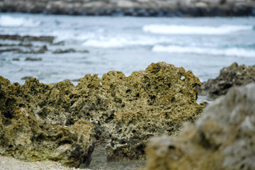 Reef rocks on shore.