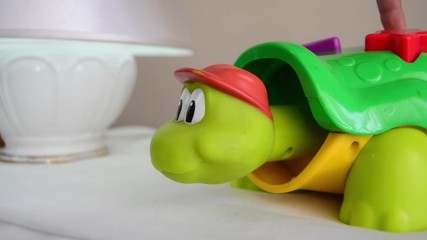 educational toy, turtle head poping up when button is pressed