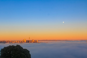 Auckland Skyline - Sunrise
