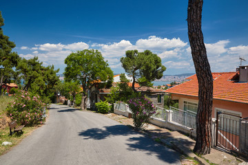 Fototapeta premium Road, trees and houses. Journey to the Island in the sea. Buyukada, Princes' Islands, Istanbul. 