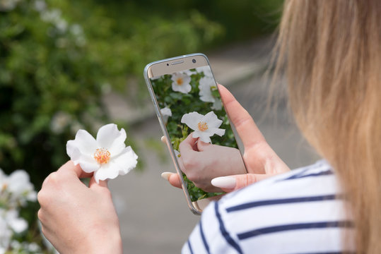 Eine Frau fotografiert eine Blume mit ihrem Smartphone