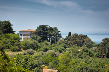 Rest at the island. Nature. Buyukada, Princes' Islands, Istanbul.