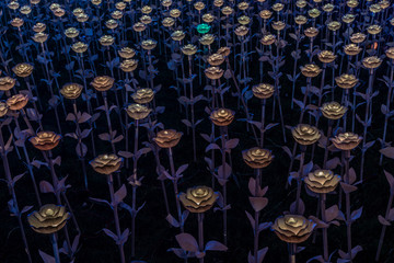 Flowers LED light decorations in Bangkok to celebrate the Coronation of King Rama X