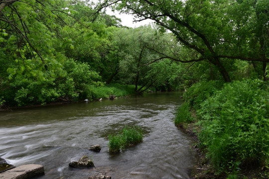Carly State Park