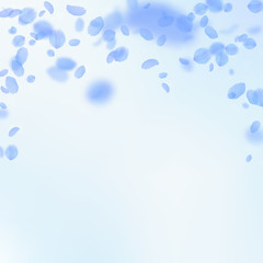 Dark blue flower petals falling down. Rare romanti