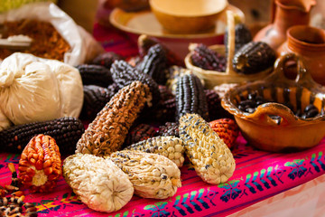 colorful scene of several kind and variations of mexican corn on a wood table, mexican table pink table clothing