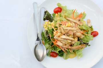 Chicken Salad on white disk at white background