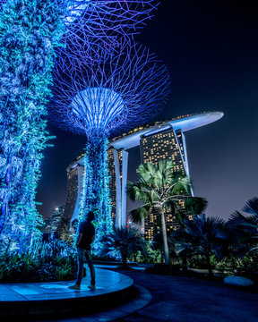 Tourist looking at the artificial trees near Marina Bay sands, in Singapore
