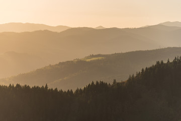 Soft golden sunset light over layers of mountains and evergreen tree covered forest hills in the Pacific Northwest
