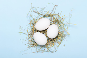 White eggs in a nest of hay on a blue background. Healthy food. Top view, flat lay.