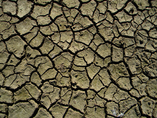 dry cracked earth