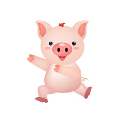 happy pig isolated on white background