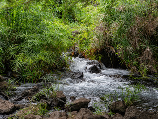 Tsavo West National Park, Kenya