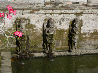 Fototapeta na wymiar Desert rose flowers at Goa Gajah temple in Bali