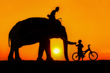 Silhouette of people and elephants is a way of life of the people of Surin Thailand