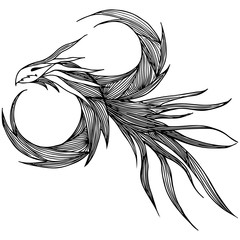 Hand drawn vector dragon illustration. Fantastic dragon icon. Freehand silhouette of mythology aminal. Fantasy outline illustration