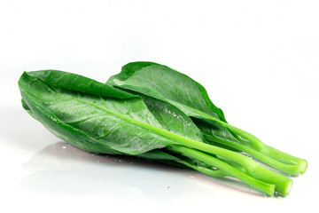 zucchini isolated on white background