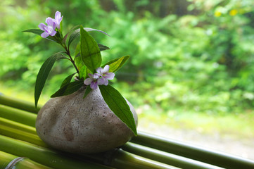 イセハナビの花生け