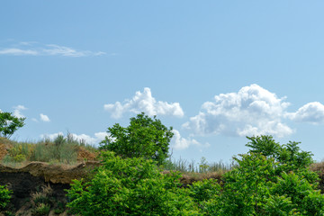 Fototapeta premium Beautiful hills with trees and grass against the blue sky. Summer landscape