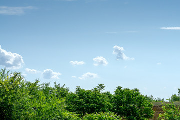 Obraz premium Beautiful light summer sky with cumulus clouds
