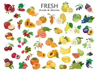 Papier Peint photo Fruit Grand ensemble de fruits et de baies colorés.