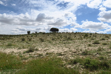 Obraz premium Colline de pierre avec arbres u sommets