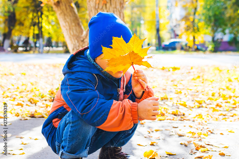 Wall mural boy is hiding behind maple leaves