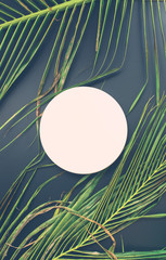 White circle basis and palms leaf on dark design