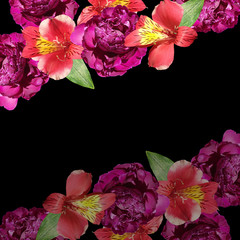Beautiful floral background of red alstroemeria and burgundy peonies. Isolated