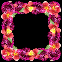 Beautiful floral pattern of red alstroemeria and burgundy peonies. Isolated