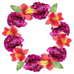 Beautiful floral circle of red alstroemeria and burgundy peonies. Isolated