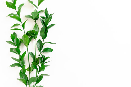 Border frame made of ruscus branches on white background