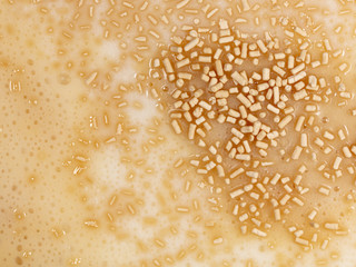 Yeast in dough as background