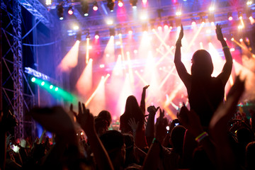 Portrait of happy crowd enjoying at music festival