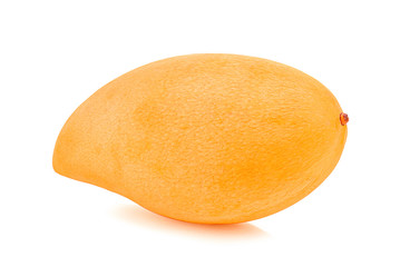 Mango on white background.