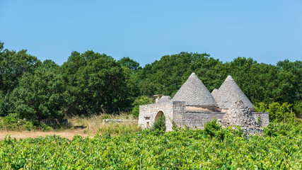 Trulli in the Itria valley. Puglia, Italy.