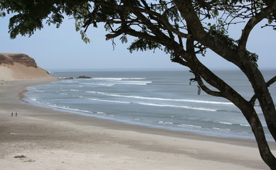 Vista de vegetación costera y playa amplia en la costa norte de Perú