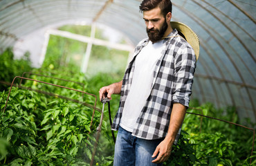 Young farmer protecting his plants with chemicals