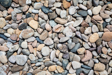 Closeup beach cobblestone texture background