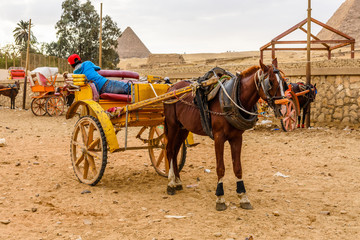 Horse with chariot near the great pyramids in Giza, Egypt